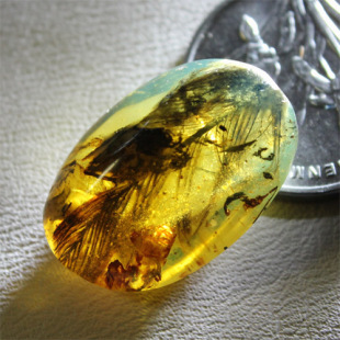 缅甸琥珀羽毛白垩纪羽毛琥珀黑羽毛正羽琥珀恐龙毛琥珀1.3克#7395