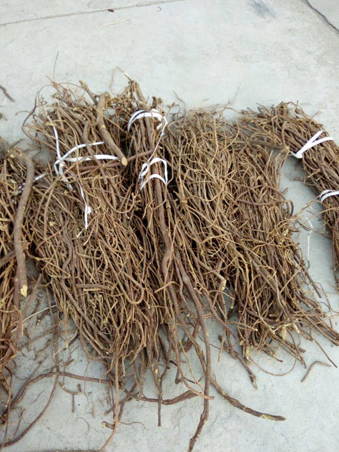 中草药材山西省纯野生新鲜现挖干甘草根棍长条宝宝磨