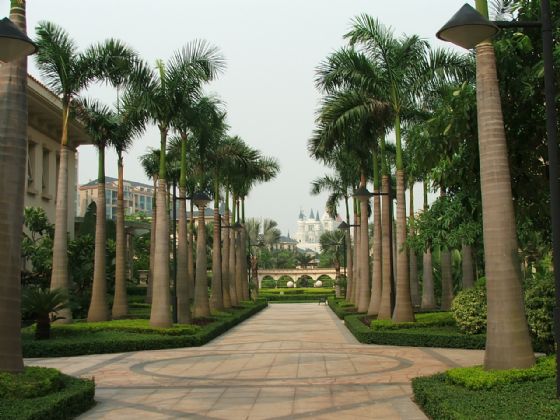 路边风景树图片及名称,树的名称和图片树名称,各种树图片及名称图片_大山谷图库