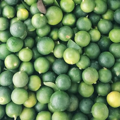 越南青金桔500g 越南产青橘金橘 金桔 新鲜水果 武汉满百包邮