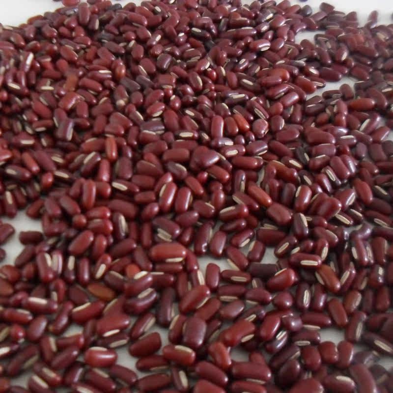 包邮贵州农家自产 长粒赤小豆新货 赤红小豆 赤红豆 杂粮500g免邮