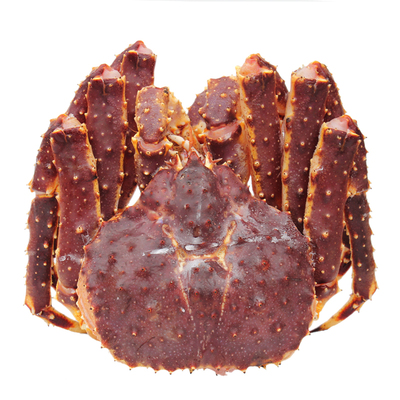 阿拉斯加深海野生进口冰鲜活冻红蟹帝王蟹海蟹大螃蟹8-10斤