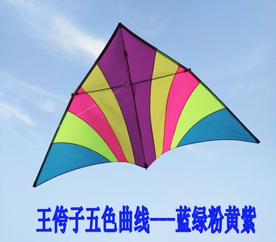 包邮新款王侉子 2平3平4色5色风筝 544软航空伞布 碳杆 微风风筝