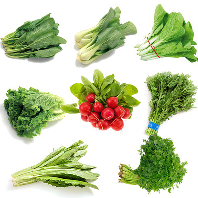 8种四季青菜叶菜 蔬菜种子套餐青菜籽 庭院阳台盆栽生菜茼蒿种子