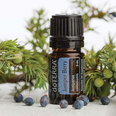 包邮 多特瑞doterra杜松浆果单方精油5ml正品限时促销