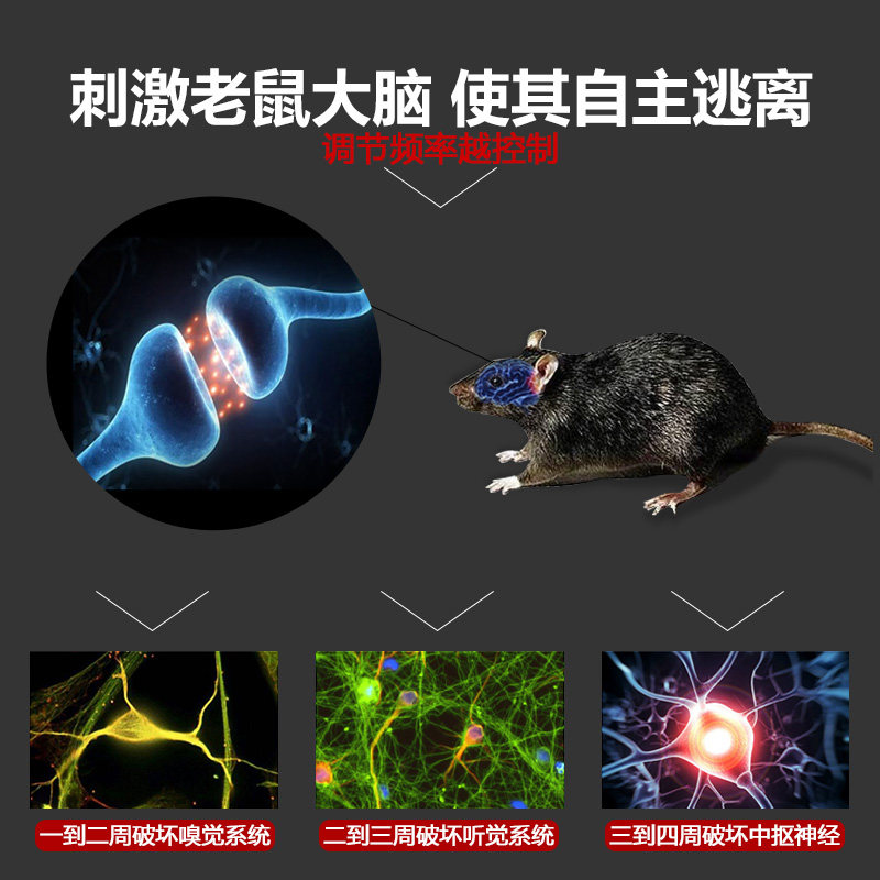 大功率超声波驱鼠器