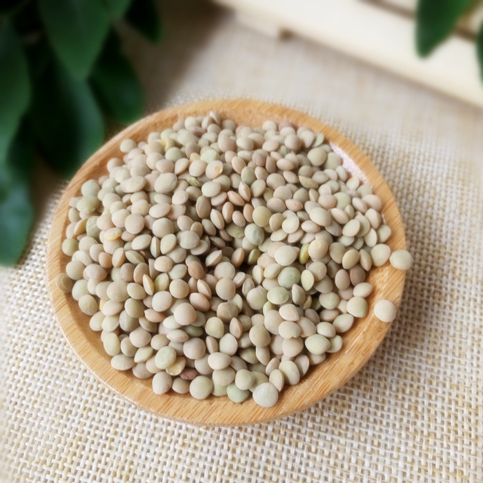 小扁豆新小扁豆16年小扁豆豌豆 天然无污染山地扁豆500克