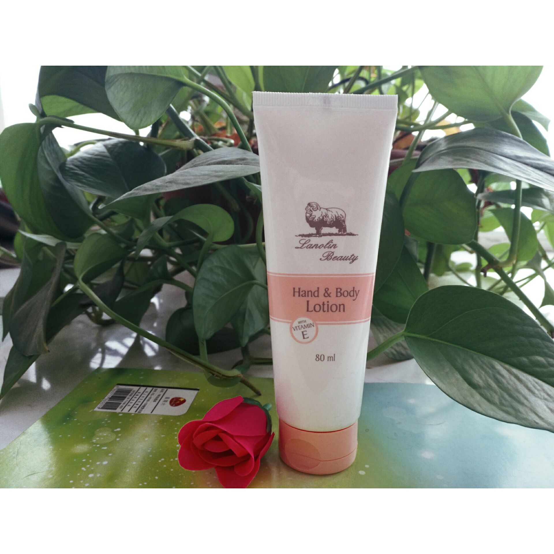 原装lanolin beauty澳洲绵羊油ve面霜护手霜身体乳补水保湿滋润