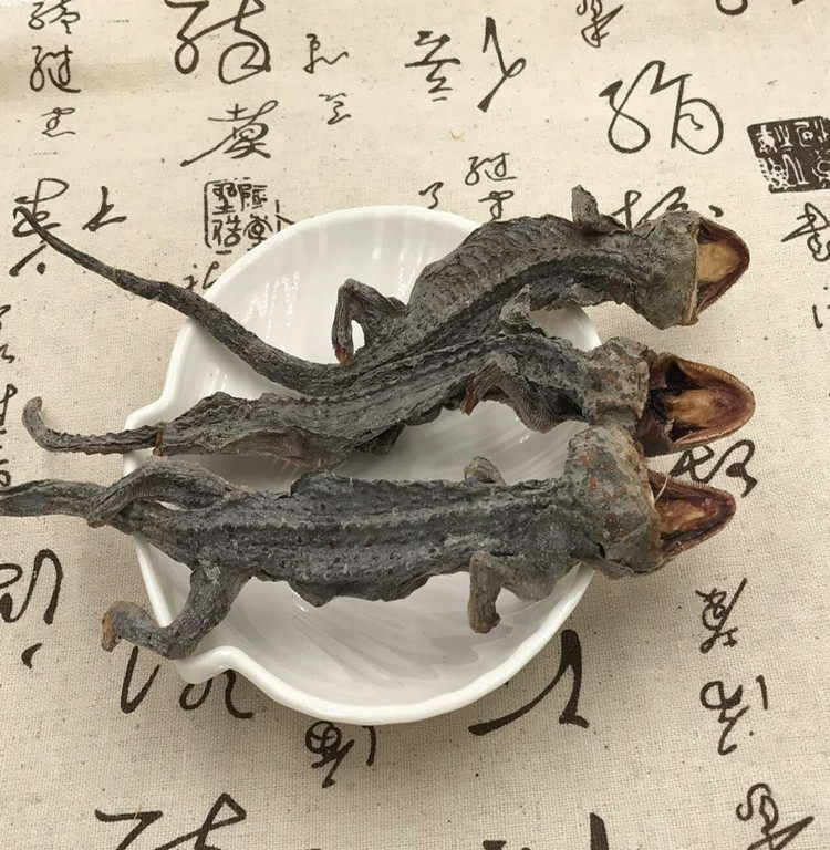 金貅广西蛤蚧五年大尾巴蛤蚧干一对装自制泡酒料搭配肉苁蓉锁阳