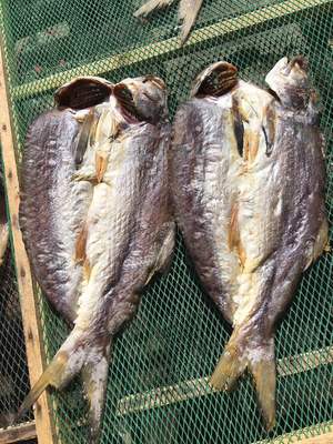 马友鱼干 湛江特产新鲜海产品干货 广东咸鱼海鱼干自制 午鱼干