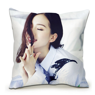 刘诗诗抱枕定制定做生日礼物学生枕头靠垫diy真人照片含芯免运费