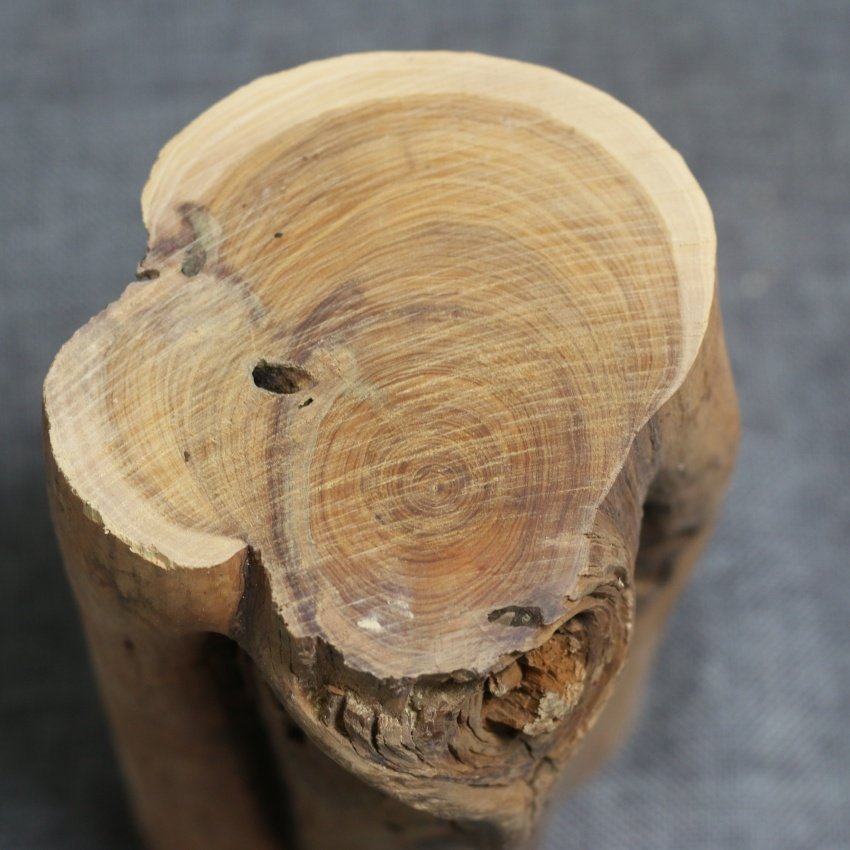 檀香木摆件 檀香原木 澳洲进口 檀香木树桩 精选 檀香雕刻料