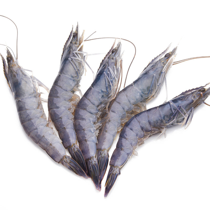 【喵鲜生】文莱生蓝虾800g 每公斤51至60只