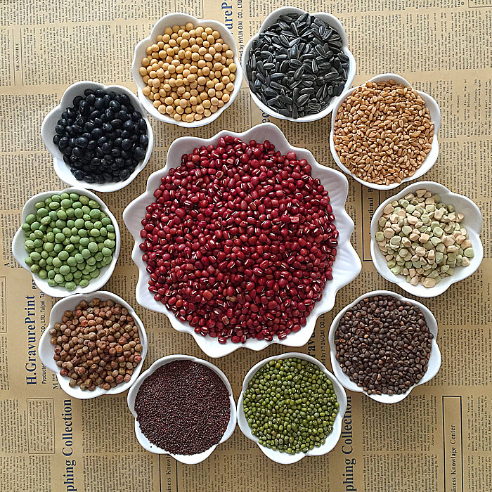 秋季播山东大蒜种子四季阳台室内水培植物绿色易活蔬菜苗盆栽蒜黄