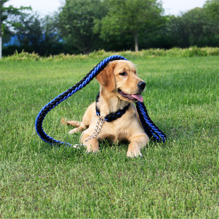 狗狗牵引绳狗链子 中大型犬狗项圈狗绳 金毛涤纶狗链宠物用品