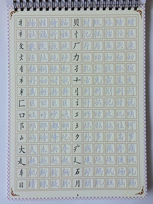 行书字帖成人凹槽练字板特效速成魔法连体字体硬板汉语常用字16页