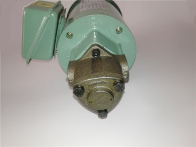 微型齿轮泵380v220v机油泵液压油齿轮油小流量抽油泵冷却循环油泵