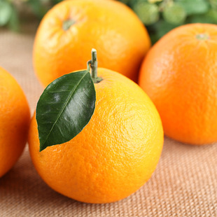 朋娜脐橙5斤宜昌三峡新鲜橙子包邮新鲜水果非秭归脐橙现摘现发