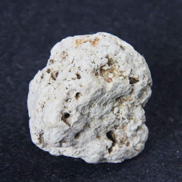 观云堂龙涎香原块料分六级30元1克起正品保真天然香道研究会鉴定