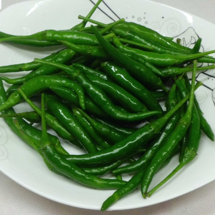 包邮四川新鲜七星特辣青尖椒 朝天椒 小米辣椒 青椒青椒剁椒泡椒