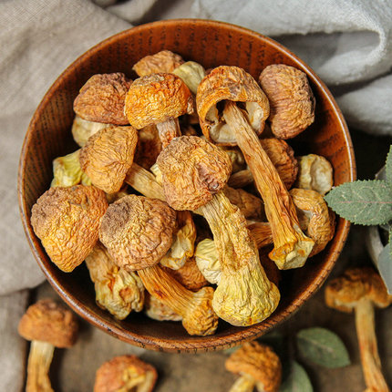 野生农家冻蘑东北元蘑长白山特产干货蘑菇榛蘑500g包邮_7折现价39元