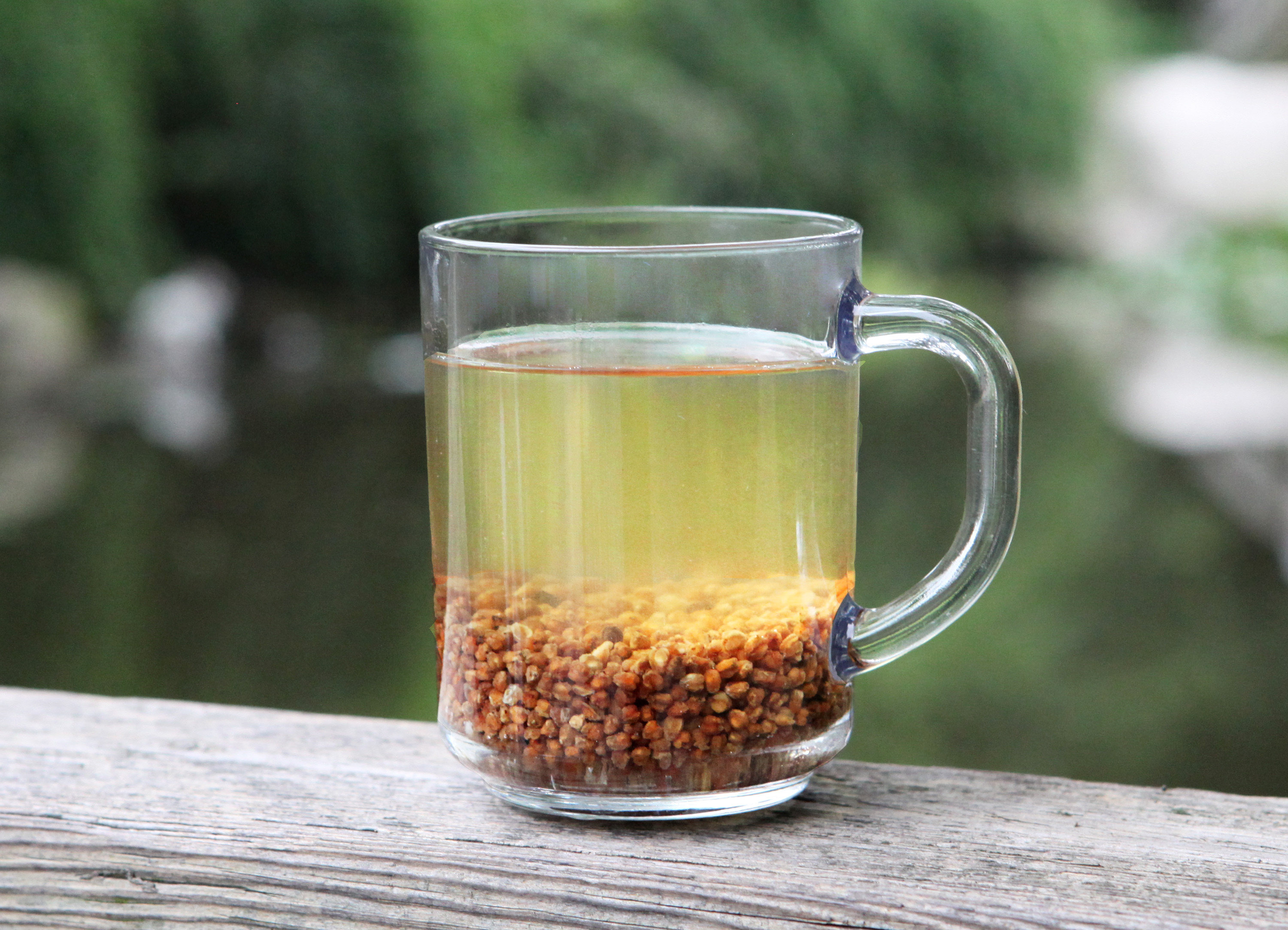 明芽苦荞茶 黑苦荞珍珠茶 全胚芽茶 苦荞胚芽茶 苦乔茶 四川凉山