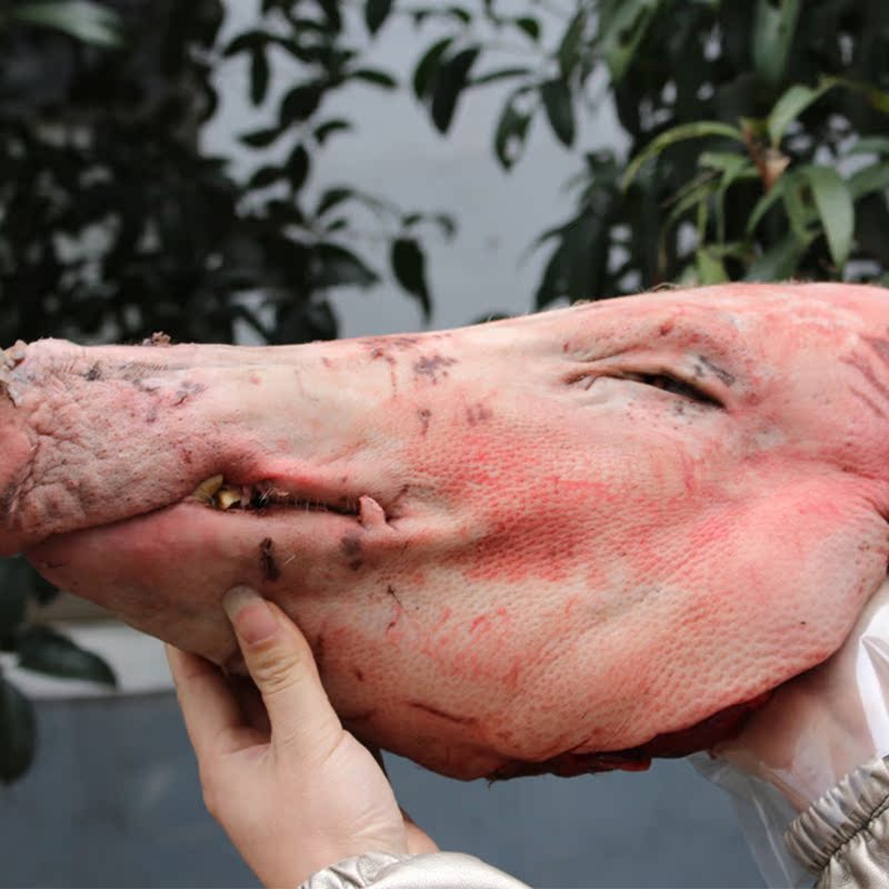 野猪头肉图片