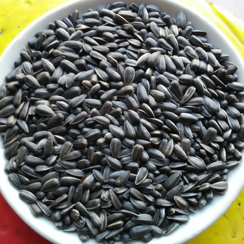 陕西特产老孙家葵花籽黑珍珠小珍珠小黑瓜子油葵籽休闲零食135克