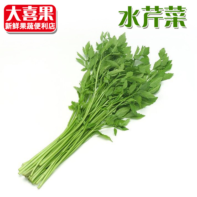 野味新鲜蔬菜野水芹菜野菜新鲜水芹菜新鲜沟芹