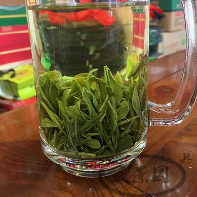 2017新茶 葉六安地區特產舒城小蘭花安徽名茶渣灣翠蘭 綠茶濃香型