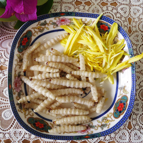 云南野味野生竹虫 竹虫草 昆虫速冻油炸酥脆芳香奶香美味佐酒