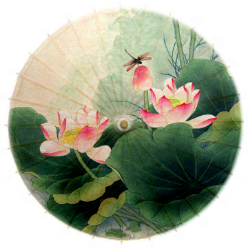 工笔荷花8804古风油纸伞复古装饰灯罩伞晴雨伞舞蹈道具中式公主伞