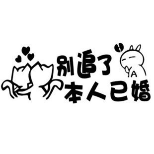 汽车装饰 汽车外饰品 别追了本人已婚 汽车装饰贴 个性车贴 字贴 搞笑