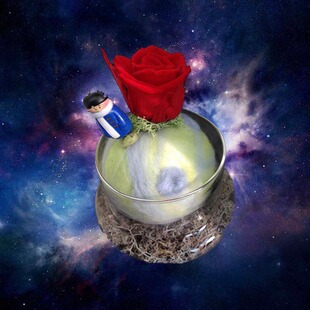 进口永生花 薏苡花圃限量版瓶b-612号小行星上小王子与他的玫瑰花