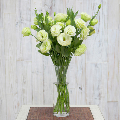 胡须先生 绿色洋桔梗广州上海北京全国家 家庭鲜花速递