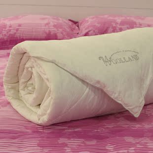 家纺 猫猫家纺 双人春秋被加厚被芯被子学生被 丝绒羊毛被 m23036