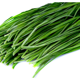 海南新鲜蔬菜韭菜500克 三亚同城配送