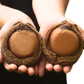 食福记鲍鱼干 鲍鱼大鲍鱼 2头鲍鱼干货海产 水产干货 包邮500g