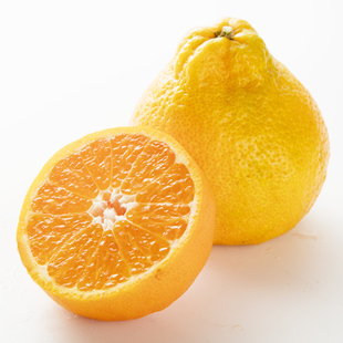 橘子orange橘子 jim #4 root ppc212 签名款 电吉他音箱箱体 送礼