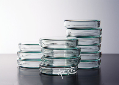 实验器材 玻璃培养皿150mm 教学实验 底盖两个一套 生物实验器材