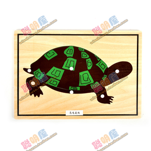 蒙氏教具蒙特蒙台梭利 幼儿童益智学前专业早教 乌龟嵌板