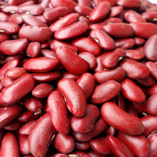 山西特产 大红豆 杂粮 五谷杂粮 红腰豆 大豆 红芸豆 低脂 500g