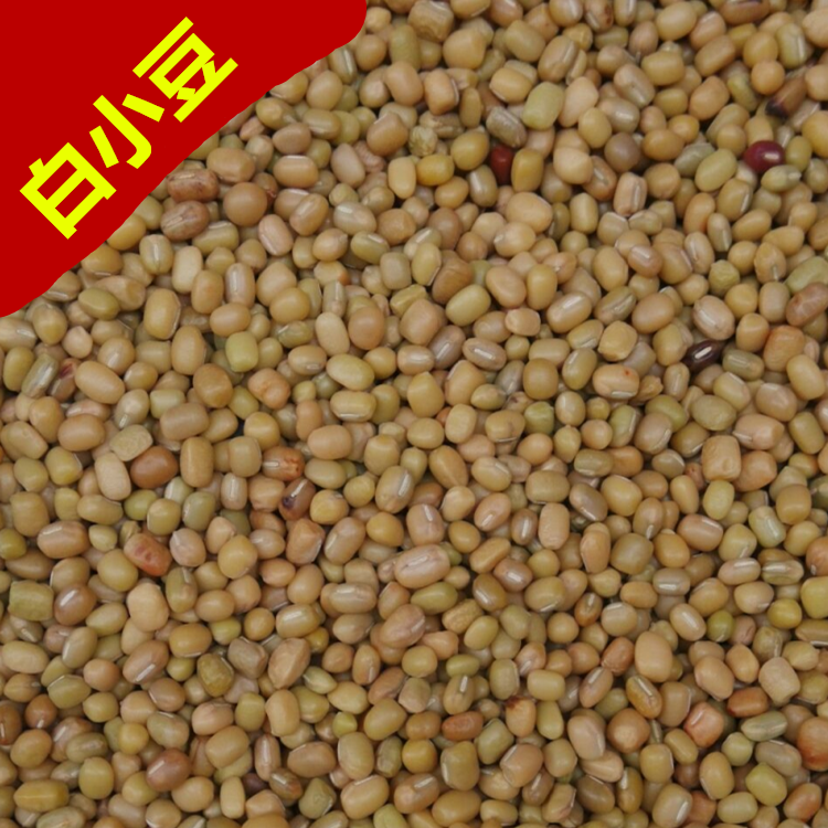 贵州毕节特产 白小豆 煮粥 毕节小豆酸菜汤必备 1斤 买5斤包邮
