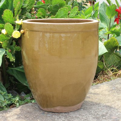 水缸粗陶地缸家用厨房养鱼庭院储水罐陶瓷清仓大睡莲荷花酸菜缸小