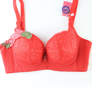阳光丽人 聚拢蕾丝花朵调整型文胸刺绣小胸内衣 u型美背吸汗胸罩