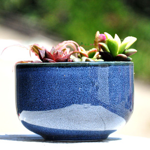 花盆 日韩式蓝色 厚实多肉陶瓷花盆 酒红色 可批发 重约:0.7kg
