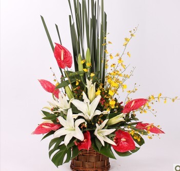 台式花篮礼仪花篮庆典花篮祝福花篮前台桌花上海同城鲜花速递