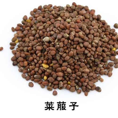 莱菔子 6斤包邮 白萝卜籽 萝卜子 萝白子 卜子 中草药材 500克8元