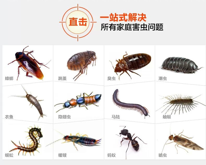环保杀虫剂杀虫粉特效灭跳蚤药蜈蚣潮虫杀臭虫除蜘蛛蚂蚁药