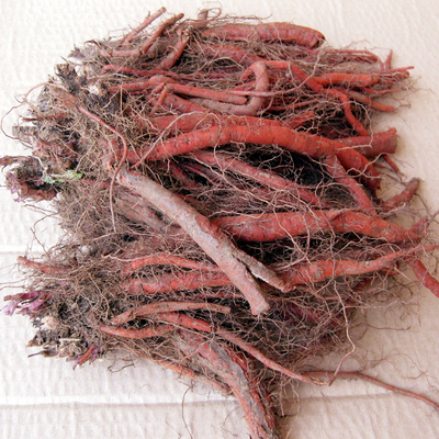 原生态野生正品紫丹参新鲜丹参500克22元包邮丹参茶